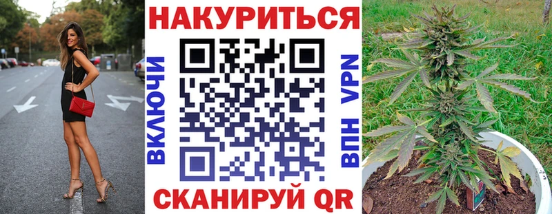 закладки Терек МЕГА ONION Каннабис ГИДРОПОН